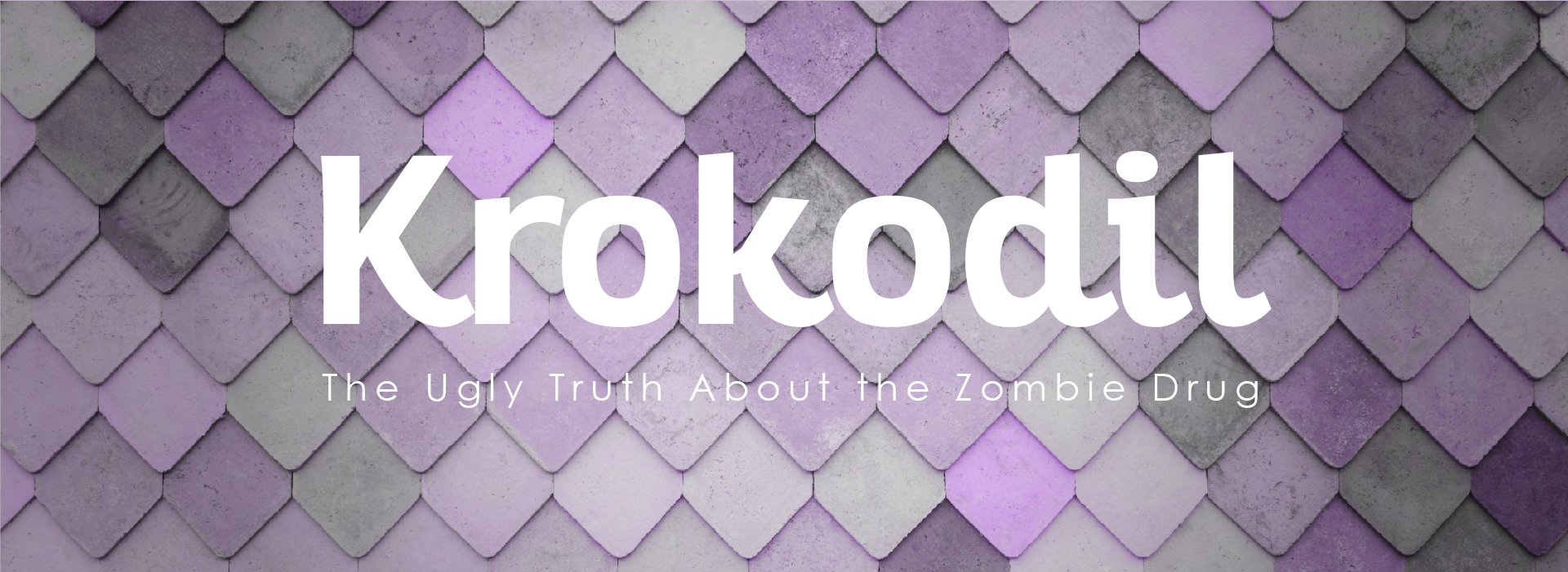 krokodil-header-02 infographic